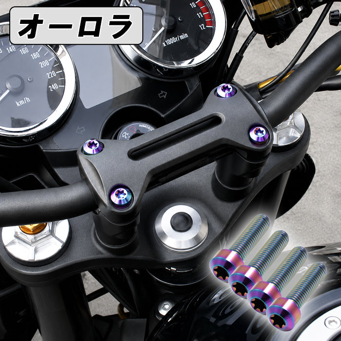 Z900RS カフェ SE CAFE ハンドルポスト クランプ チタンボルト 4本セット kawasaki カワサキ トップブリッジ  バーハンドル ハンドルクランプ 外装 カスタムパーツ カスタム ドレスアップ アクセサリー