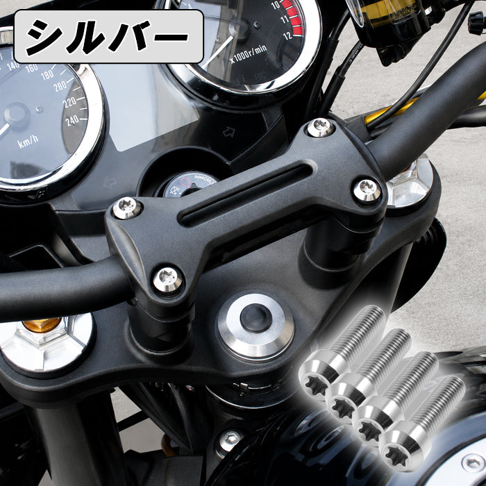 Z900RS カフェ SE CAFE ハンドルポスト クランプ チタンボルト 4本セット kawasaki カワサキ トップブリッジ  バーハンドル ハンドルクランプ 外装 カスタムパーツ カスタム ドレスアップ アクセサリー