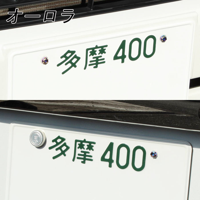 チタン ナンバーボルト 4本セット M6×15 自動車 軽自動車 普通車 トラック 錆びない おしゃれ キャップ ワッシャー付き トルクス工具付き 盗難防止 ライセンス ボルト