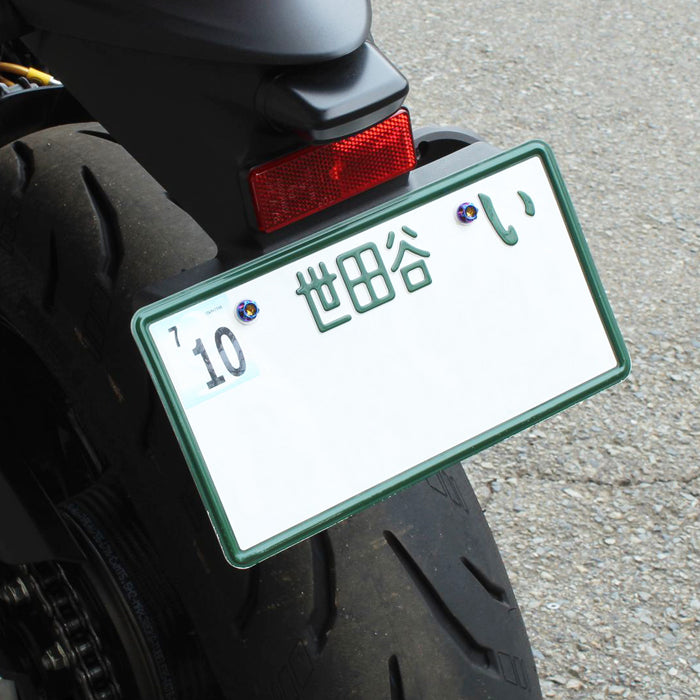 チタン ナンバーボルト 2本セット M6×15 バイク オートバイ 錆びない おしゃれ キャップ ワッシャー付き トルクス工具付き 盗難防止 ライセンス ボルト