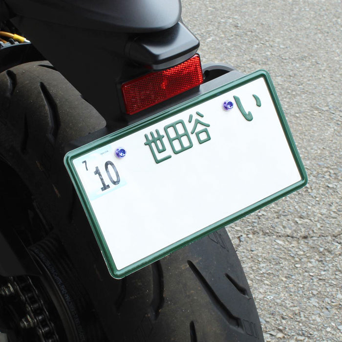 チタン ナンバーボルト 2本セット M6×15 バイク オートバイ 錆びない おしゃれ キャップ ワッシャー付き トルクス工具付き 盗難防止 ライセンス ボルト