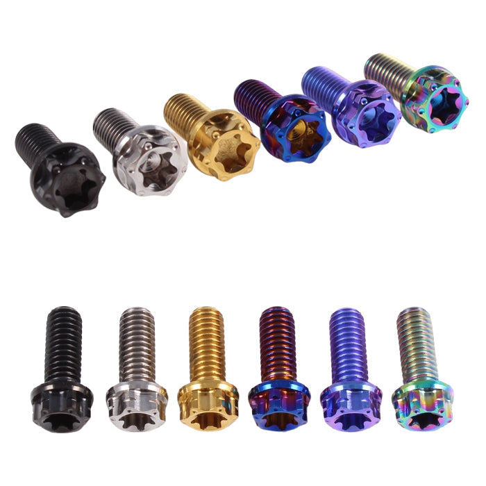 チタン ナンバーボルト 2本セット M6×15 バイク オートバイ 錆びない おしゃれ キャップ ワッシャー付き トルクス工具付き 盗難防止 ライセンス ボルト