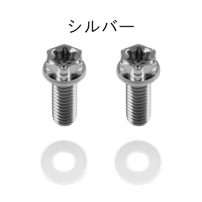 チタン ナンバーボルト 2本セット M6×15 バイク オートバイ 錆びない おしゃれ キャップ ワッシャー付き トルクス工具付き 盗難防止 ライセンス ボルト