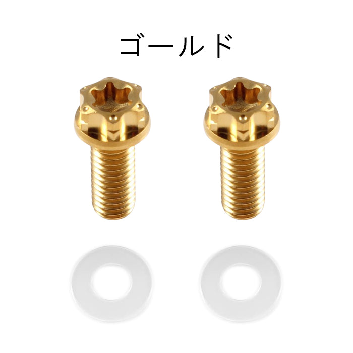 チタン ナンバーボルト 2本セット M6×15 バイク オートバイ 錆びない おしゃれ キャップ ワッシャー付き トルクス工具付き 盗難防止 ライセンス ボルト