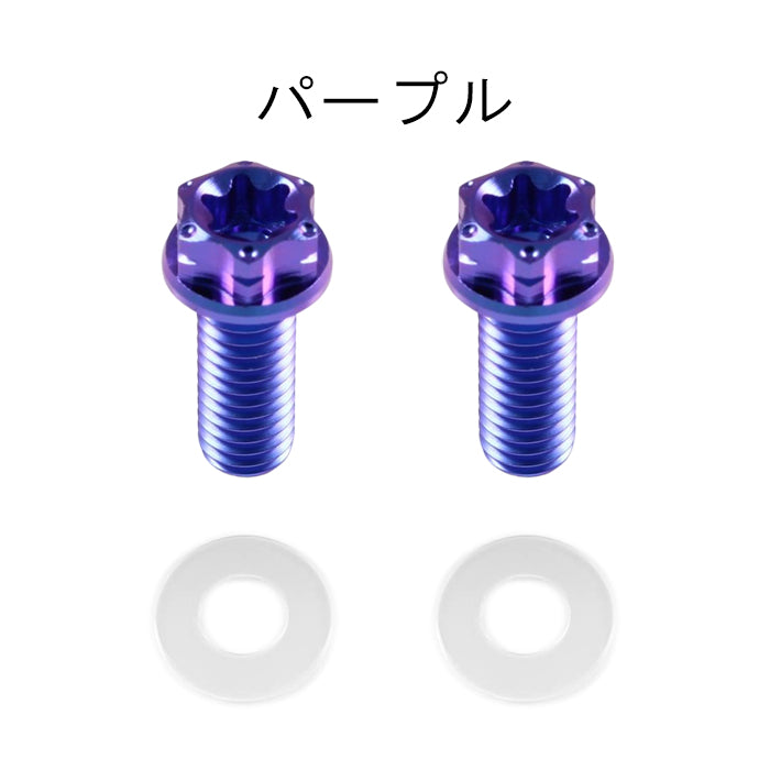 チタン ナンバーボルト 2本セット M6×15 バイク オートバイ 錆びない