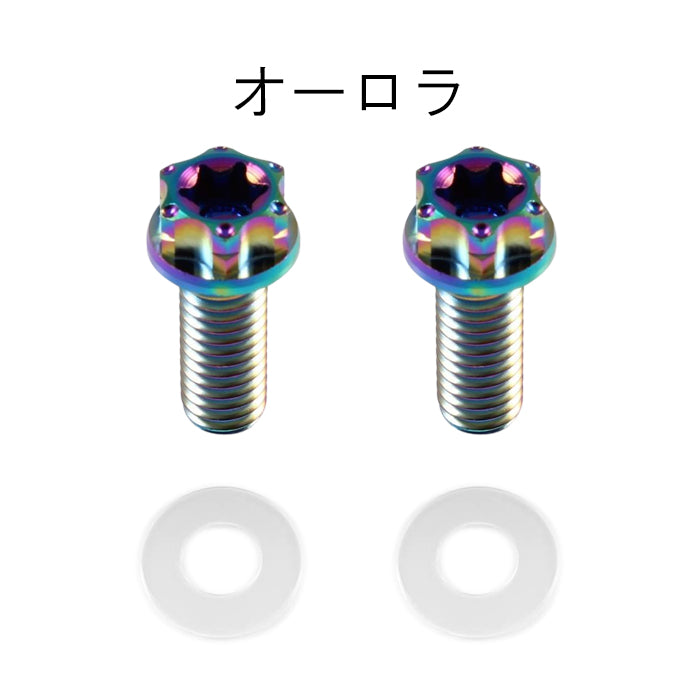 チタン ナンバーボルト 2本セット M6×15 バイク オートバイ 錆びない おしゃれ キャップ ワッシャー付き トルクス工具付き 盗難防止 ライセンス ボルト