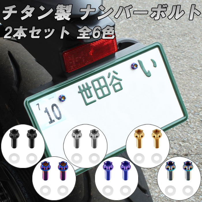 チタン ナンバーボルト 2本セット M6×15 バイク オートバイ 錆びない おしゃれ キャップ ワッシャー付き トルクス工具付き 盗難防止 ライセンス ボルト